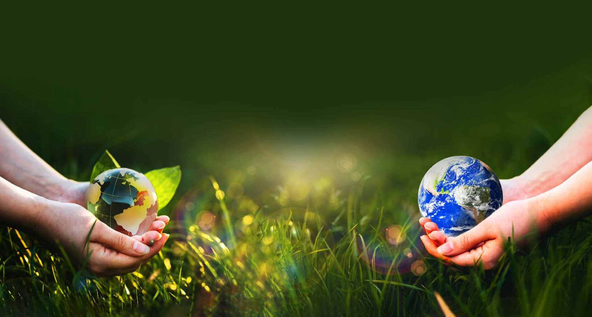 Promote green and low-carbon development